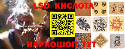 шишки Иваново