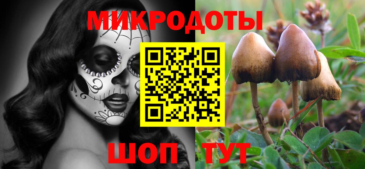 Галлюциногенные грибы Magic Shrooms  Вход с VPN  Грязи 